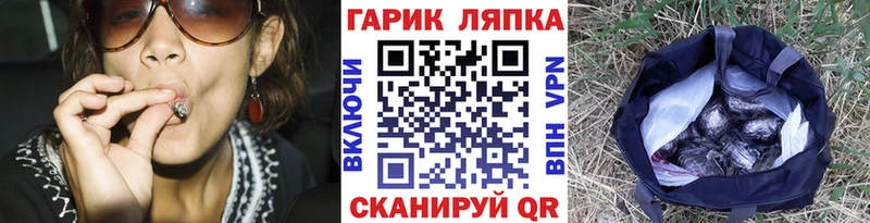 Купить  Сосновка  ГАШ Изолятор 